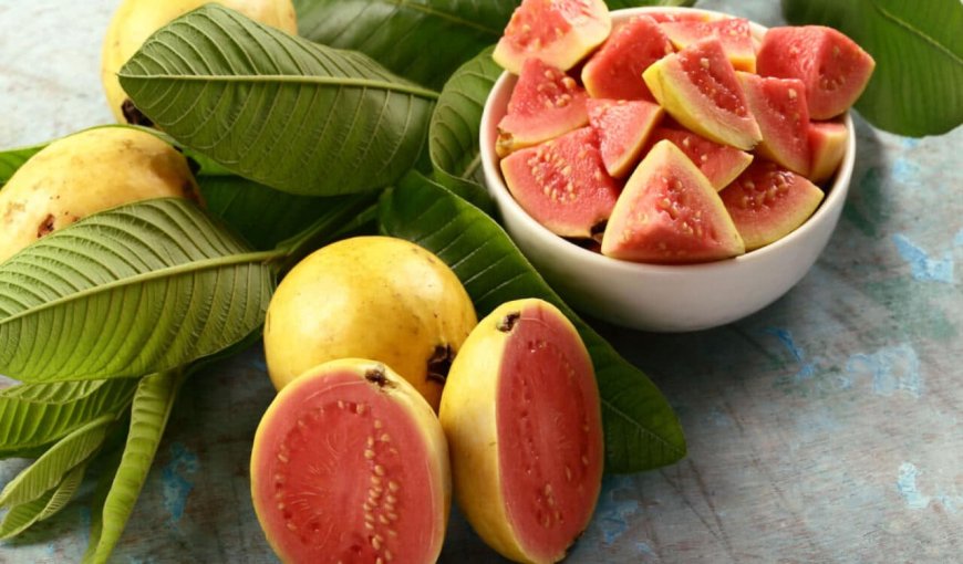 Health Benefits of Guava Fruit