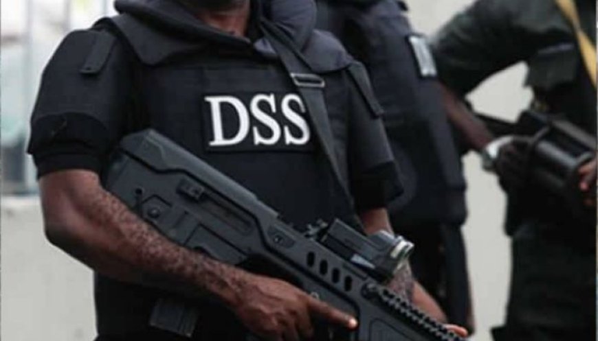 DSS Invites Statistician-General for Questioning Over Controversial Ransom Survey