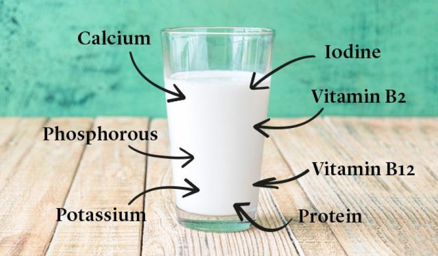 The Nutritional Power of Milk