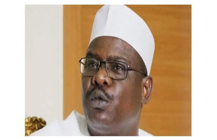 Senator Ali Ndume Opposes Tax Reform Bills