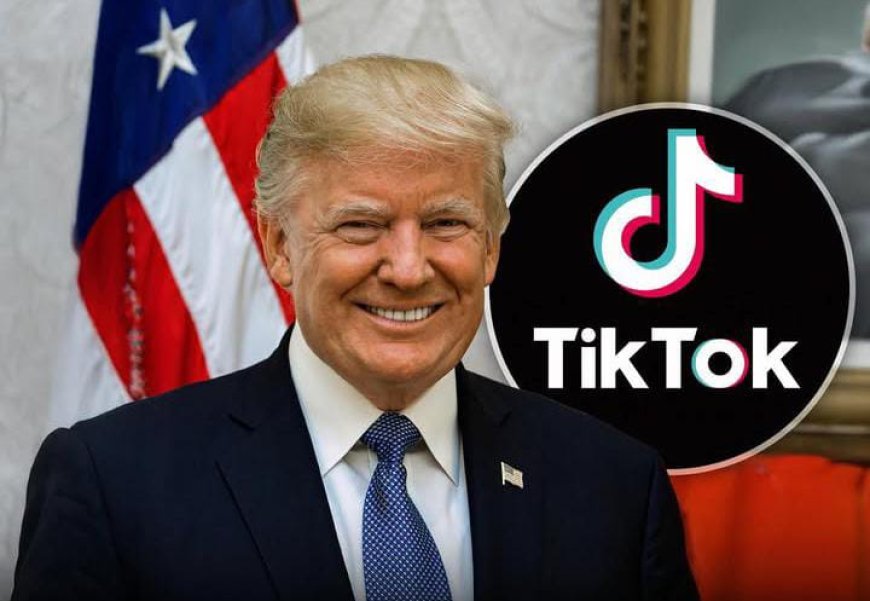 Donald Trump Petitions Supreme Court to Halt TikTok Ban