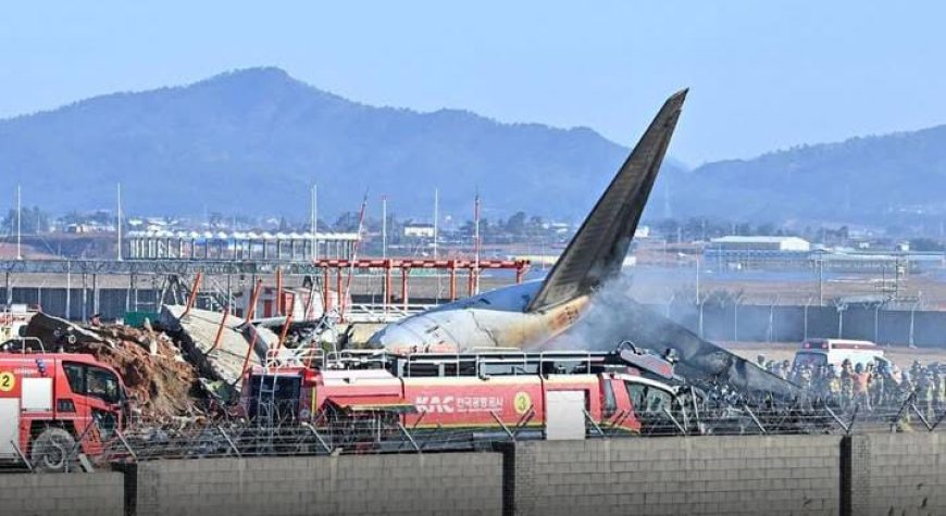 Tragic Plane Crash in South Korea Leaves Dozens Feared Dead