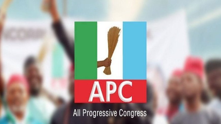 APC Chairman Confirms Local Government Elections in Lagos