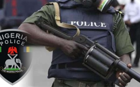Ogun State Police Arrest Two Security Guards for Allegedly Setting Man Ablaze