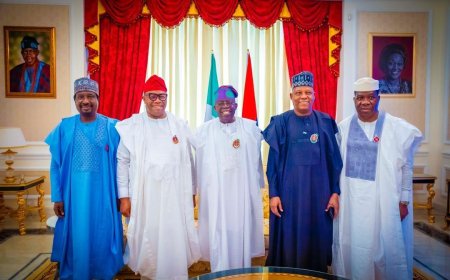 President Tinubu Vows to Lead Nigeria to a Brighter Future