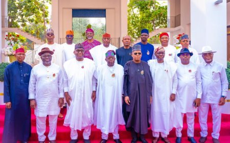 Vice President Shettima Leads Governors in New Year Homage to President Tinubu