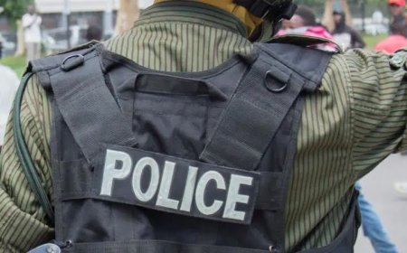 Zambian Police Officer Arrested for Releasing Prisoners on New Year's Eve