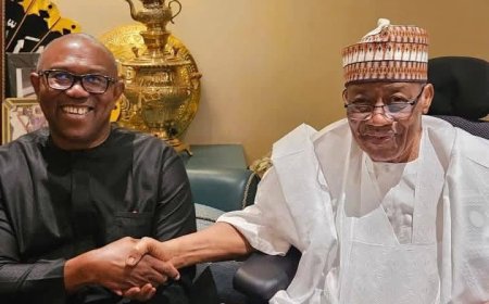 Peter Obi, the former Governor of Anambra State and 2023 Presidential candidate, recently paid visits to several prominent former Nigerian leaders, including Ibrahim Badamasi Babangida, Goodluck Jonathan, Olusegun Obasanjo, and Babangida Aliyu