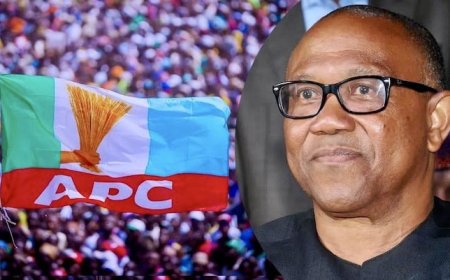 APC Criticizes Peter Obi's New Year Message as "Doomsaying"