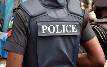 FCT Police Rescue Abandoned Newborn, Arrest Mother