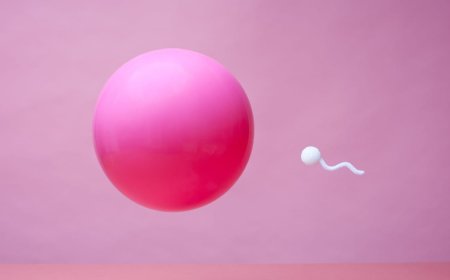 Have You Heard About Hyperspermia?