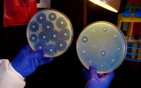 Tackling Antimicrobial Resistance
