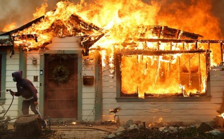 The Growing Threat of Wildfires