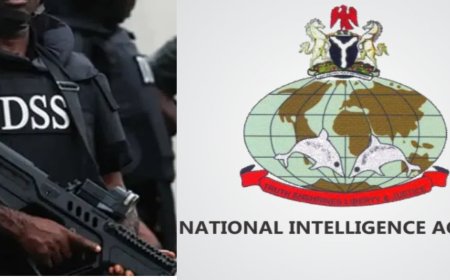 Retired General Williams Calls for Disbandment of NIA and DSS Over Terrorism Monitoring Failures
