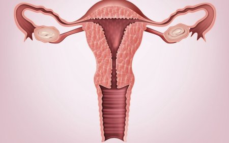 The Importance of Caring for Vaginal Flora