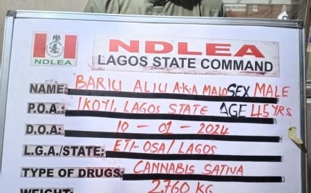 NDLEA Arrests Traditional Worship Leader for Drug Trafficking