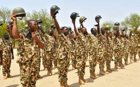 Joint Task Force Bans Drone Operations in North East Nigeria
