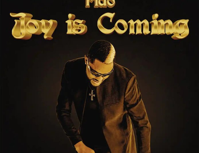 Listen and Download the song "Joy Is Coming" by Fido in MP3 format, along with the lyrics below.