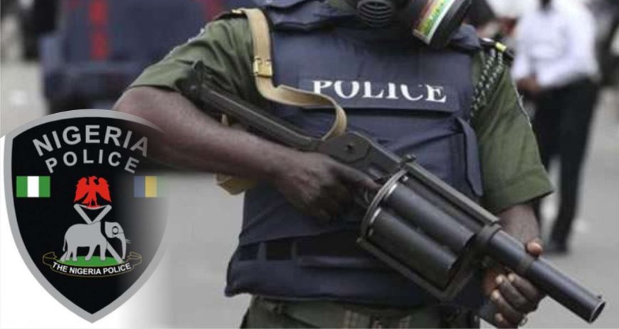 Ogun State Police Arrest Two Security Guards for Allegedly Setting Man Ablaze