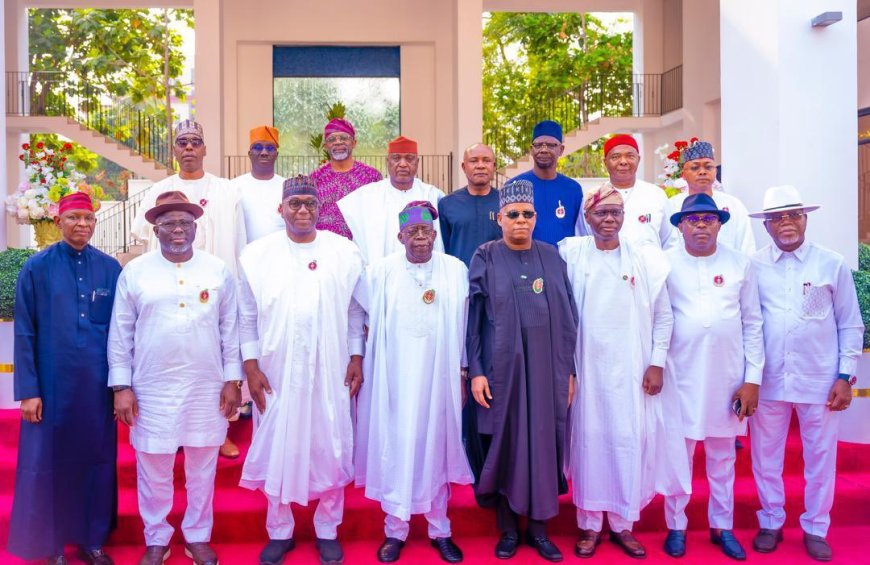 Vice President Shettima Leads Governors in New Year Homage to President Tinubu