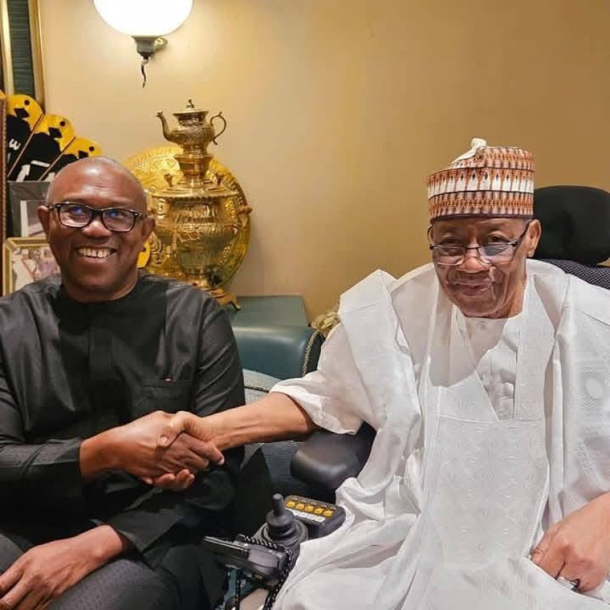 Peter Obi, the former Governor of Anambra State and 2023 Presidential candidate, recently paid visits to several prominent former Nigerian leaders, including Ibrahim Badamasi Babangida, Goodluck Jonathan, Olusegun Obasanjo, and Babangida Aliyu