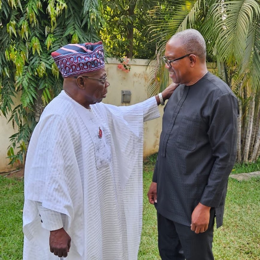 Peter Obi, the former Governor of Anambra State and 2023 Presidential candidate, recently paid visits to several prominent former Nigerian leaders, including Ibrahim Badamasi Babangida, Goodluck Jonathan, Olusegun Obasanjo, and Babangida Aliyu