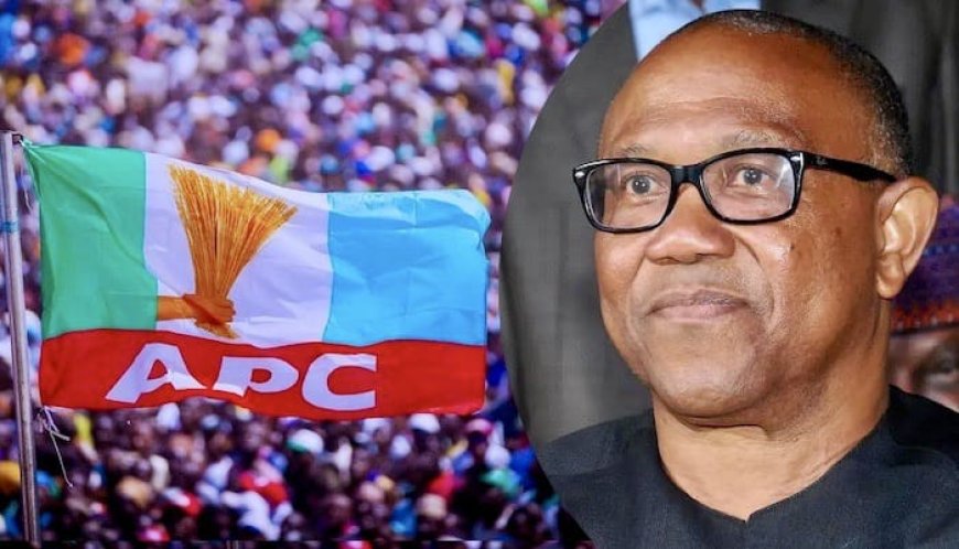 APC Criticizes Peter Obi's New Year Message as "Doomsaying"