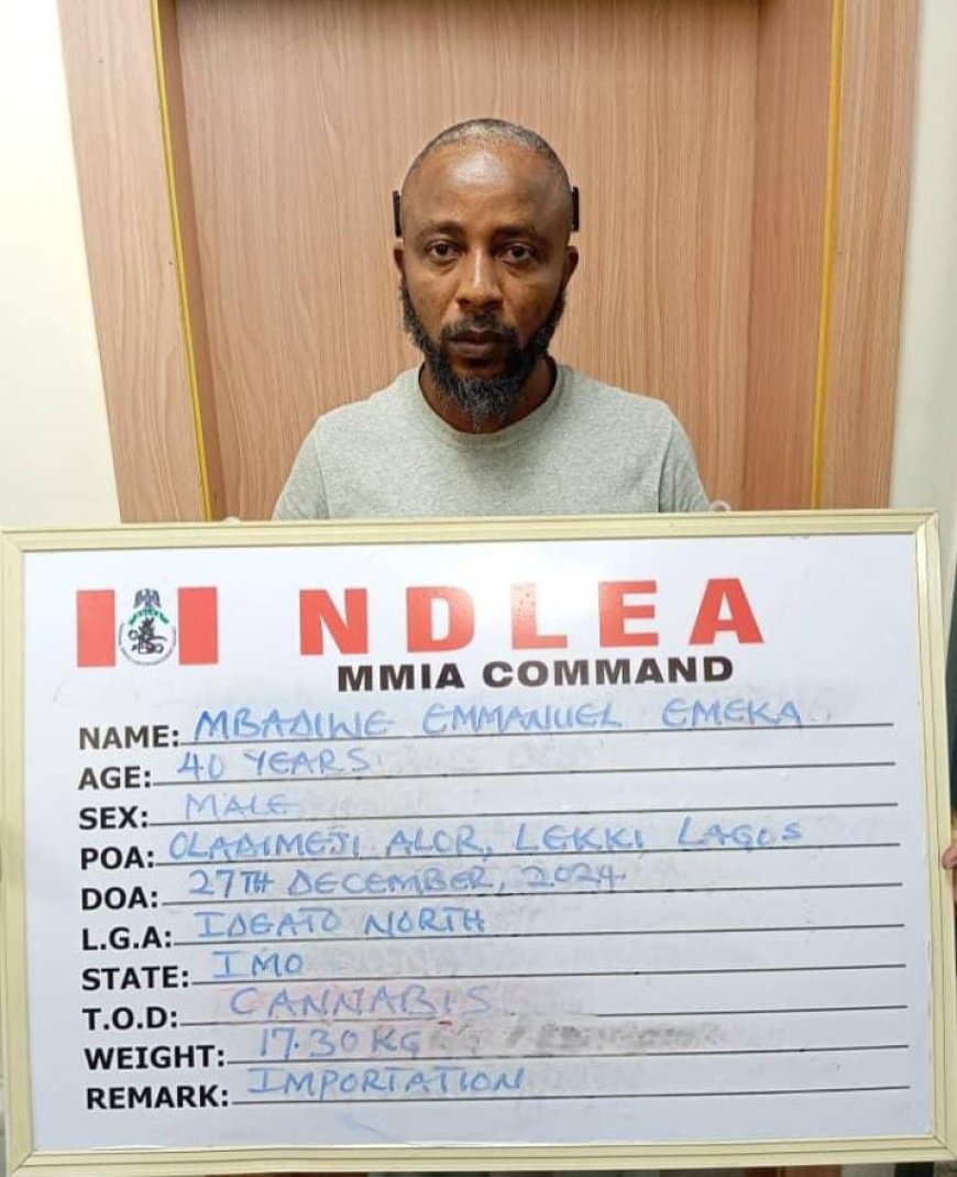 Popular Lagos Fabric Merchant Arrested for Drug Trafficking