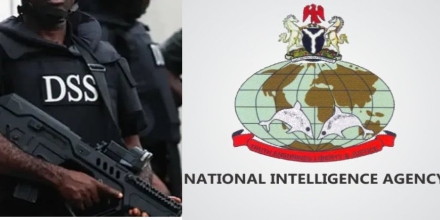 Retired General Williams Calls for Disbandment of NIA and DSS Over Terrorism Monitoring Failures