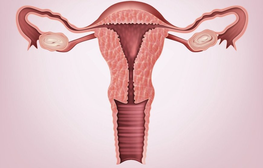 The Importance of Caring for Vaginal Flora