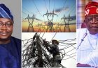 This is Nigeria’s biggest Electricity Generato