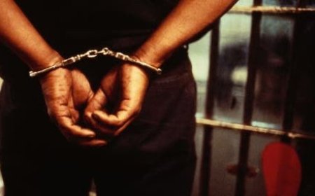 Nigerian Man Sentenced to 75 Months for Mail Fraud and Identity Theft in the US