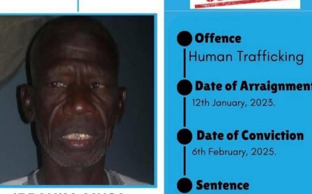 66-Year-Old Man Sentenced to 5 Years in Prison for Human Trafficking in Yobe