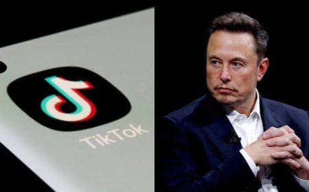 Elon Musk Denies Plans to Acquire TikTok