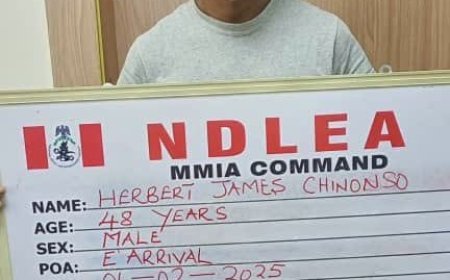 NDLEA Arrests Two Drug Kingpins at Lagos and Port Harcourt Airports