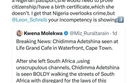 South Africans Demand Home Affairs Minister's Removal After Chidimma Adetshina Spotted in Cape Town