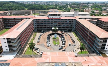 Federal Government Allocates N100 Billion for Solar Mini-Grids in Public Institutions
