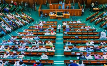 House of Reps Calls for Reversal of Telecom Tariff Hike Amid Economic Hardship