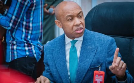 Chidi Odinkalu Criticizes Nigerian Officials Over Visa Denials for Winter Games