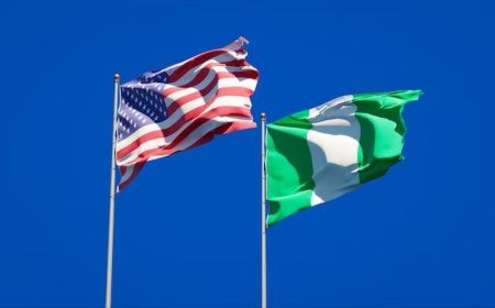 U.S. Set to Deport Nigerians to Lagos, Says Ambassado