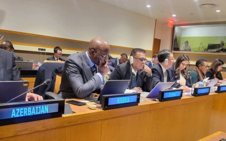 Deputy Speaker Benjamin Kalu Appointed to WTO Steering Committee by IPU