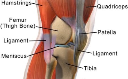 *Common Causes of Knee Pain*
