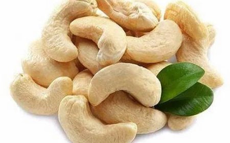 ⚠ Facts About Cashew Nuts
