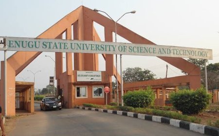 Enugu State University Suspends Four Lecturers and Class Representative Over Alleged Money-For-Grades Schem
