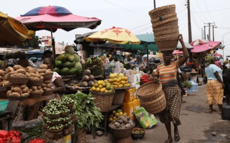NBS Rebases Inflation Calculation, Reports Sharp Drop to 24.48%