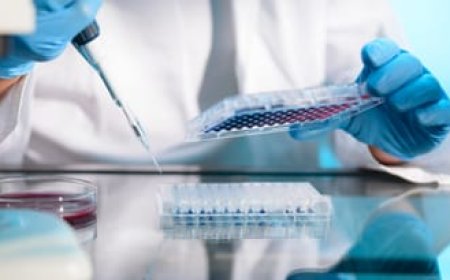 Stem Cell Therapy