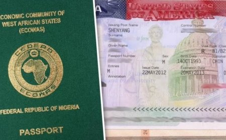 Nigeria, South Africa, Ghana Excluded from US 2025 Visa Waiver Programme
