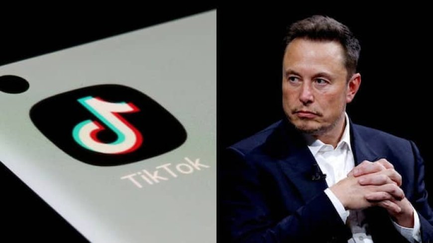 Elon Musk Denies Plans to Acquire TikTok