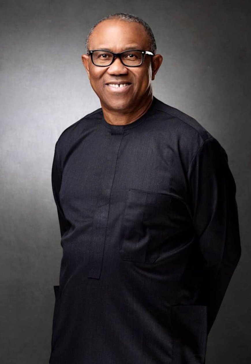 The Landmark Judicial Decision that Restored Governor Peter Obi on February 9, 2007