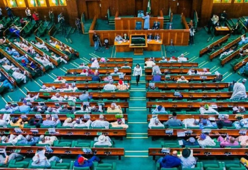 House of Reps Calls for Reversal of Telecom Tariff Hike Amid Economic Hardship